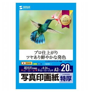 �T�����T�v���C �C���N�W�F�b�g�ʐ^��掆�E���� JP-EP2NA3N(����s��)�y���������z