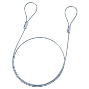 【10個セット】 サンワサプライ eセキュリティ(ワイヤー、1.0m・3.5mm) SLE-1W-1X10(代引不可)【送料無料】