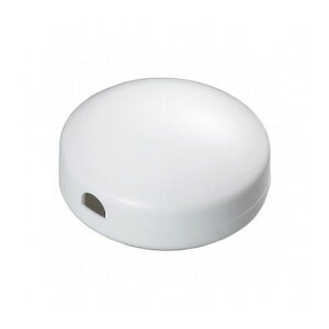 YAZAWA y_gR[h[65 zCgPCM5WH Ɠd Ɩ ̏Ɩ(s)