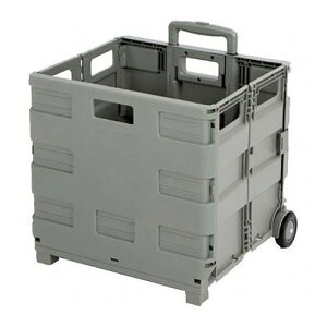 cR[|[V ܂肽݃ReiL[ ZY-36MGRE(s)