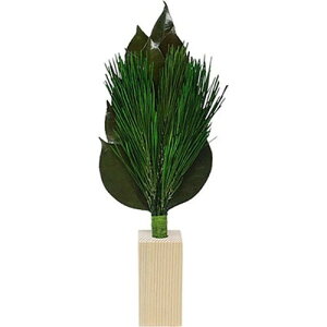 A&K r_M 嗧ăZbg ST-006 G(s)yz