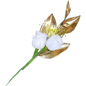 A&K ֑} v`[YzCg P-001 G(s)yz