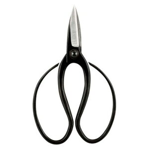 @ A K20781418 G(s)yz