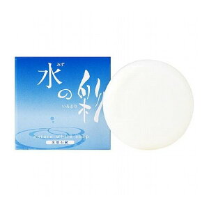 y5Zbgz ʐ i`[zCg\[v ̍ 点 105g SSS00113X5(s)yz