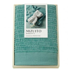 MIZUITO ݓn݂ BtFCX^I 32×75cm B1039597(s)
