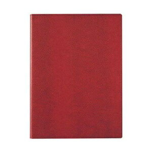 CC zeitVektor m[gpbh (A5) NXy[p[ m[g|[gp\A5TCỸm[gpbh bh ZVP203Ry[֔zzyz