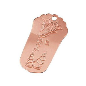 y10Zbgz cӋ }E؂̐Fol FN₩ TK-2495X10yz