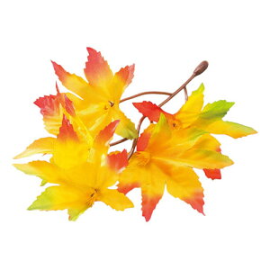 }R[ p Ɩp lG̉Ԃ ݂ (100) yamaco64220(s)yz