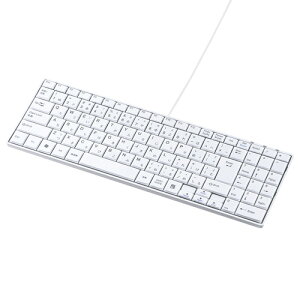 TTvC USBXL[{[h SKB-SL17WNyz