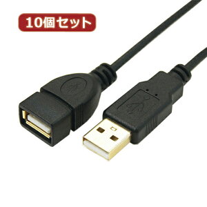 �ϊ����l �y10�Z�b�g�z �ɍ�USB�P�[�u��A�I�X-A���X 3m USB2A-AB/CA300X10 �p�\�R�� �p�\�R�����Ӌ@�� �ϊ����l�y���������z
