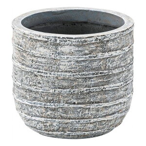 O[x[X 25.5×s25.5×22 _}OlVE 6p(s)yz