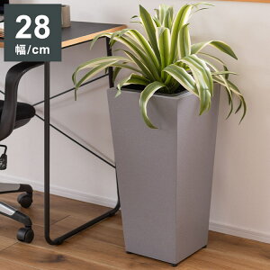 v^[nC^Cv v^[ nC^Cv  _ C_XgA Vv O[ A ϗtA AWX^[t CeA(s)yz