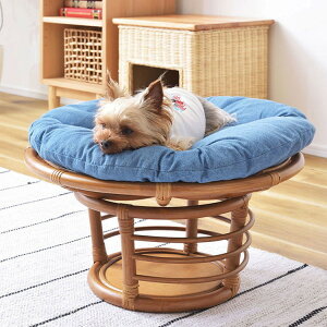 �X�c�[�� �y�b�g�X�c�[�� �֎q �`�F�A �y�b�g �C�k �l�R �� �L �N�b�V���� ���^�� ���[ ������� ������� ���r���O �A�j�}��(����s��)�y���������z