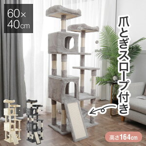 Lbg^[ u ^ 60×40cm 164cm ܂Ƃ X[v nbN B  ^s XgX Lpi ybgpi LbgnEX L^[  ȃXy[Xy