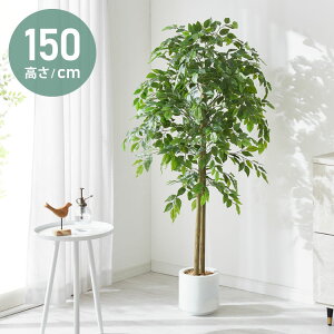 tFCNO[  xW~ VR ^ ^ tBJXxW~ u u 150cm i` Vv k ϗtA lHϗtA CeAO[ A[gO[