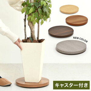 Eh v^[x[X ؖڒ×BLX^[Ŕړł锫Av^[x[X LX^[t Aؔ X^h Aړ ؖڒ O[ CeAG݁y