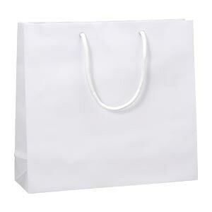 �V���W�} �u���C�g�o�b�OGM �V�� 1 �� 006137901 ���[�� �I�t�B�X �p�i