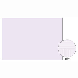 qTS Rs[ʗp Ж 100 A3 1  BP2111 [ ItBX piyz