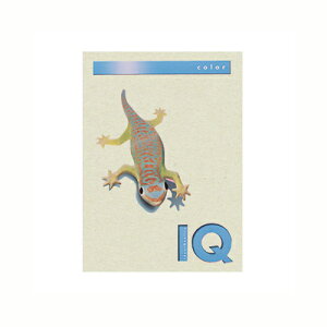 ɓ oCIgbvJ[PPC A4 O[ 1  BT509 [ ItBX piyz