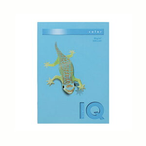 ɓ oCIgbvJ[PPC A4 ANAu[ 1  BT518 [ ItBX piyz