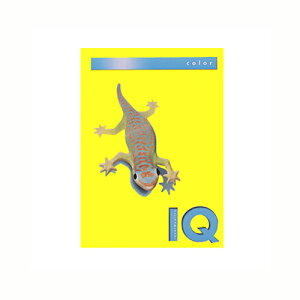 ɓ oCIgbvJ[PPC A4 Ji[CG[ 1  BT712 [ ItBX piyz