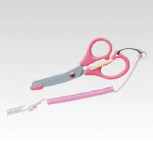 X i[CX͂(sN) 1  MG-45sN [ ItBX pi