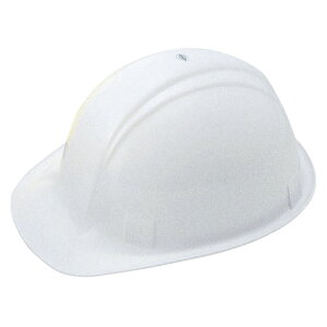 g[[Z[teB[ wbg 1  NO.170 [ ItBX piyz