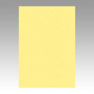 ^ Fp j[J[ 8 N[ 1  8NCR-101 [ ItBX pi