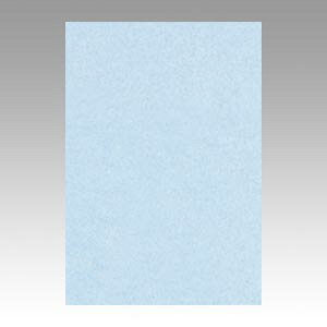 ���^�� �F��p�� �j���[�J���[ 8�� ���x���_�[ 1 �� 8NCR-131 ���[�� �I�t�B�X �p�i