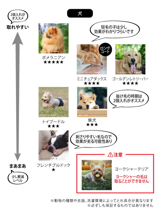 楽天市場 フリーランドリー Freelaundry プロ 2個入 ペット 洗濯 洗濯グッズ スポンジ 毛とり 抜け毛 犬 猫 ネコ 送料無料 リコメン堂ホームライフ館 楽天市場 フリーランドリー Freelaundry プロ 2個入 ペット 洗濯 洗濯グッズ スポンジ 毛とり 抜け毛 犬 猫 ネコ 送料無料 リコメン堂ホームライフ館