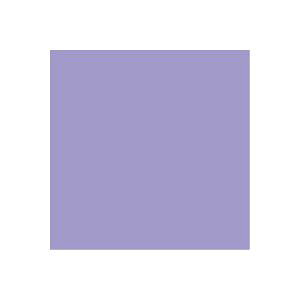 i܂Ƃ߁jWCebNX PF肪ݓ 100 B260J-14y×20Zbgz (s)