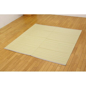 �􂦂� PP�J�[�y�b�g/���O�}�b�g �y�x�[�W�� �{��10�� ��477cm×382cm�z ���{�� �h�_�j �h�J�r �w�o���J���x (����s��)