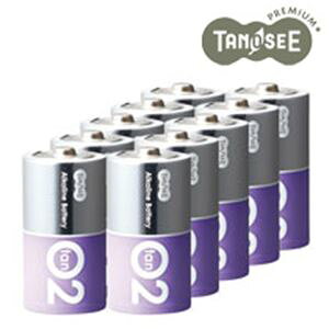 i܂Ƃ߁jAJdrv~A P2 10{×10