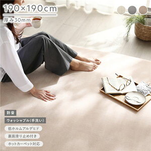 �������� �h�� ���O ��190×190cm �x�[�W�� �E���^�� �t�����l�� ����~�߉��H �Y���ɂ��� ���OK �􂦂� �E�H�b�V���u�� �z�b�g�J�[�y�b�g ���g�[�� �E���^��30mm�� ��v �I�[���V�[�Y�� ���\ 