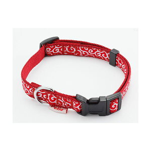 i܂Ƃ߁j J[ SS bhy×3Zbgz (pi/)