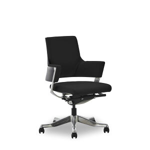 ItBX`FA 65.5cm [obN ubN LX^[t It DELPHIII t@ubN CeAƋ giysz