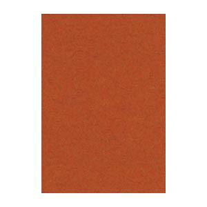 �i�܂Ƃ߁j ���^�� �j���[�J���[R ���c�� ��271×�c392mm 8NCR-236 ���Ⴂ�� 100���� �y×2�Z�b�g�z