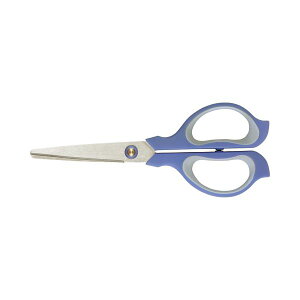 i܂Ƃ߁j vX tBbgJbg C[W[Obvp nn65mm u[ SC-165SL 1{ y×30Zbgz