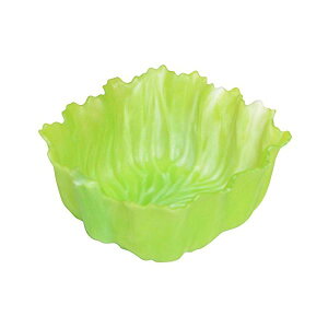 (܂Ƃ) xWJbv/ٓJbv yp G-^X 4z Rی Jbv ٓObY y×64Zbgz (s)