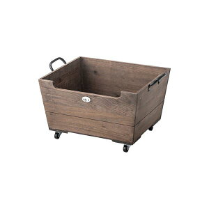 [{bNX [P[X 47cm uE ؐ LX^[t X^bLO rO q [Ƌ CeAƋ (s)