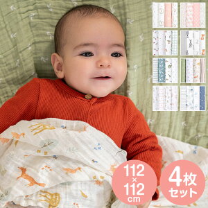 ݃Xh 4  Xh qǂ xr[ X[p[ V ʋC ǂ LbY Ԃ [  킢 Q 鋃 j̎q ̎q oYj xr