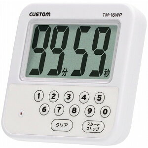 h^C}[ 100v TM-16WP(s)yz