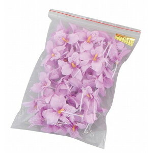 t[sbN #302 (50{)(s)yz