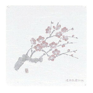 �a���R�[�X�^�[ �l�G �p�^(50����)WCO-K2 �~(����s��)�y���������z