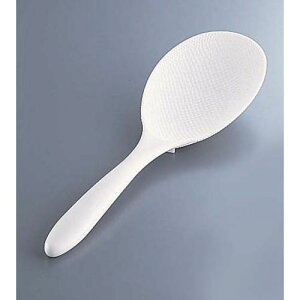 AKEBONO(AP{m) PP 21cm BSY4402