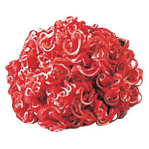 RobNX z킵ThN[ (10) ()  JTW11001yz