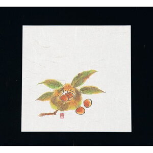 A[ebN j[lG 5(100) NS-13 I QKIJ501yz