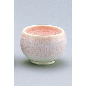 GYWp  D03-48 RGI5101