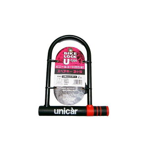 UbN211 Lbvt oCN c[O AEghA sy oCJ[ C_[ Lv t@~[yz