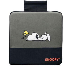 {tH[ ˂ׂXk[s[ 45x45cm O[ 5743-02GY